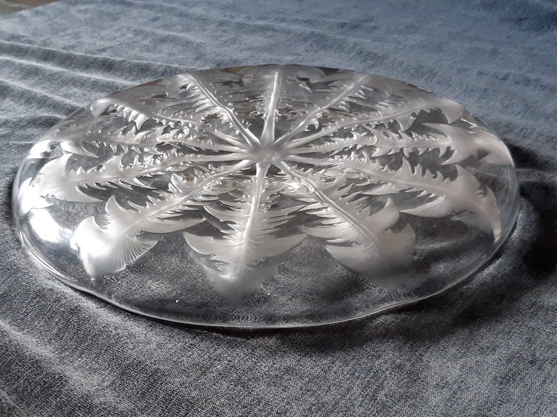R. Lalique Pissenlit Charger 30 Cm Signed Vda René Lalique 1920s Art Deco Dish Art Glass-photo-4