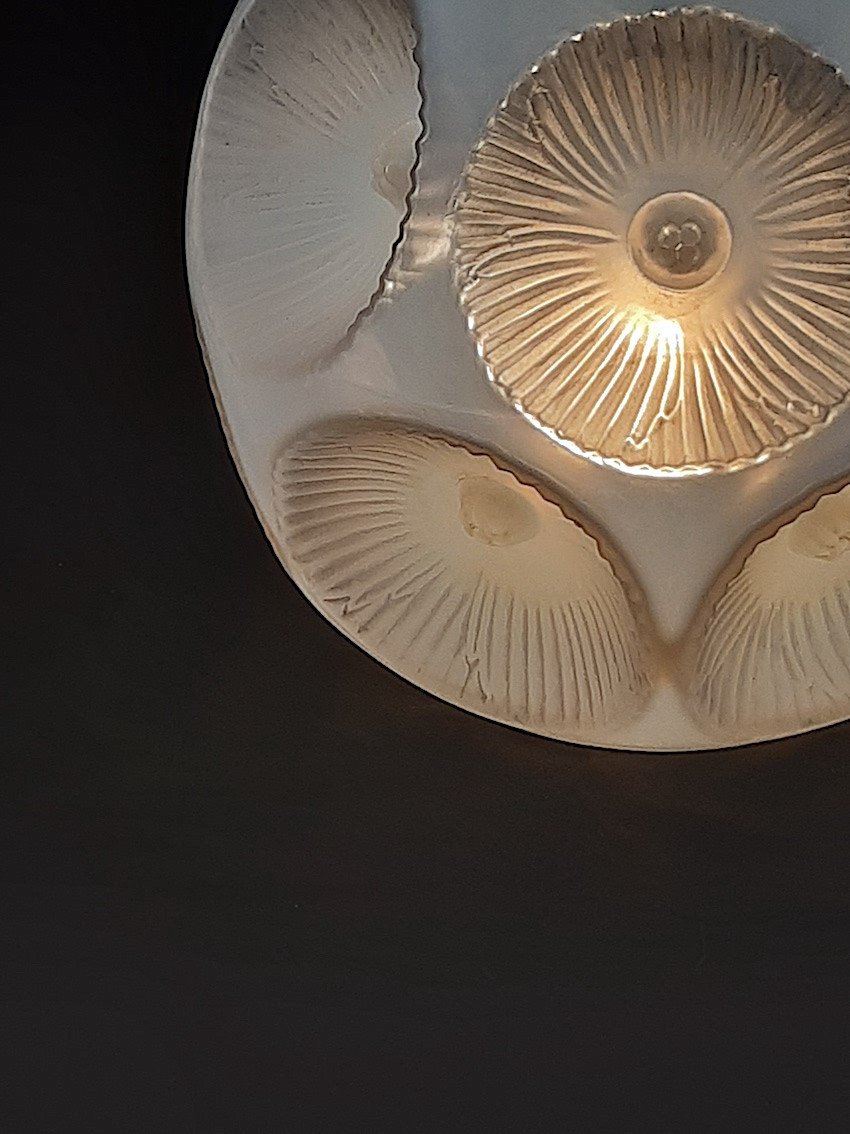 R. Lalique - Vase Lampe Art Deco Verre Opalescent Vase Picardie 1927 René Lalique-photo-3