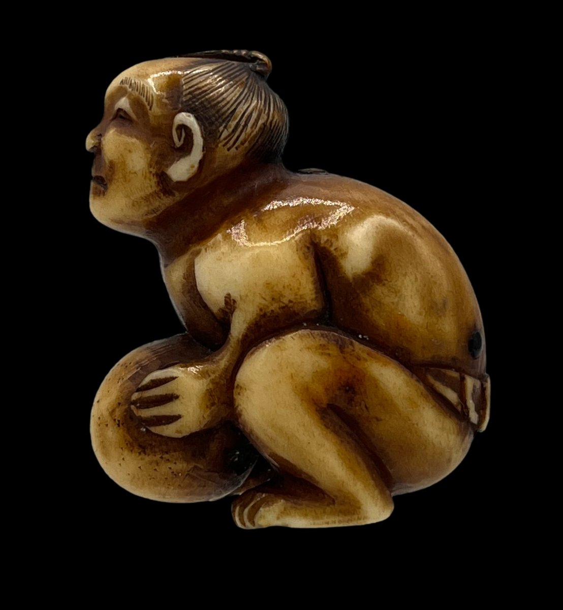 Netsuke - Meiji Period-photo-3