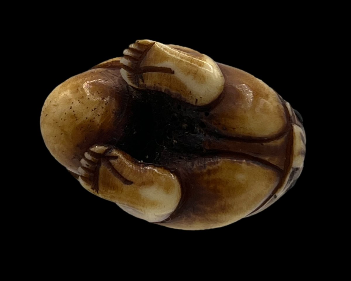 Netsuke - Meiji Period-photo-4