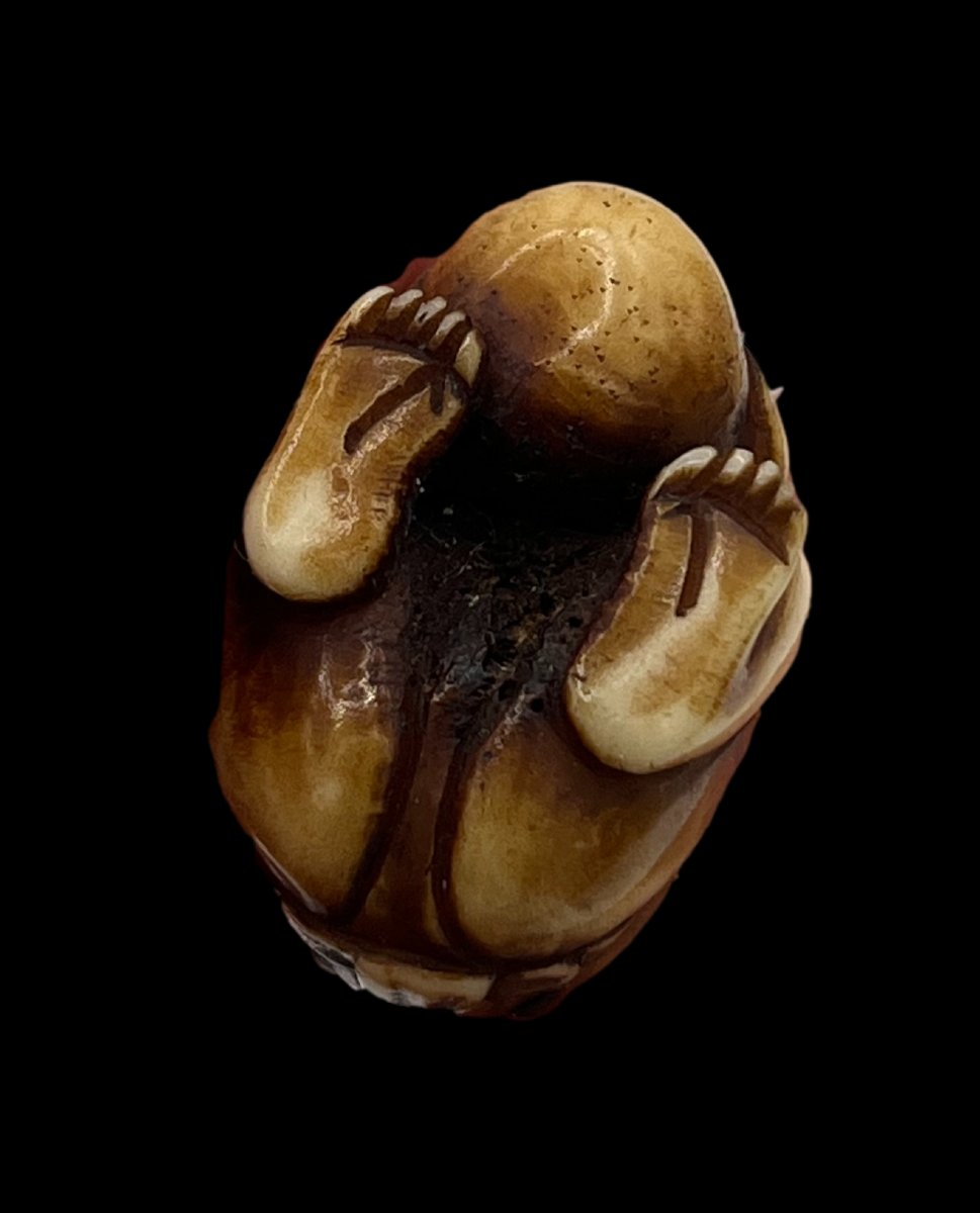 Netsuke - Meiji Period-photo-5