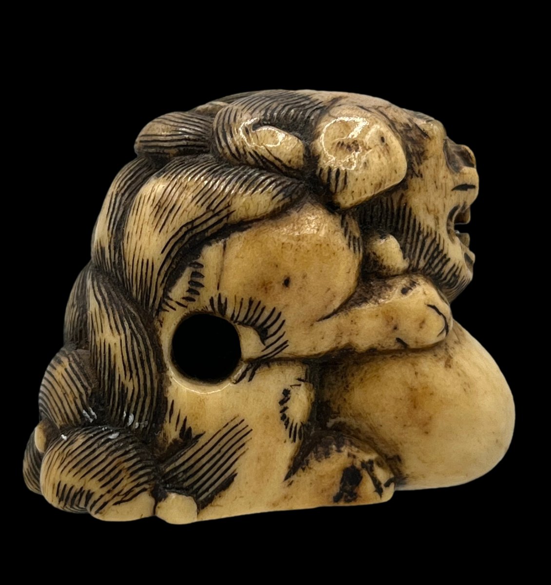 Netsuke shichi - époque Meiji -photo-2