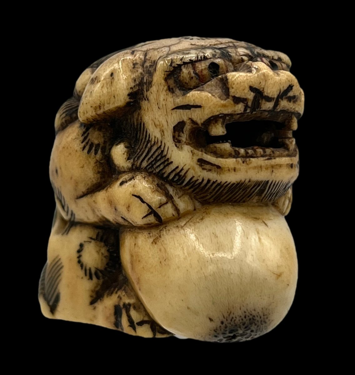 Netsuke shichi - époque Meiji -photo-3