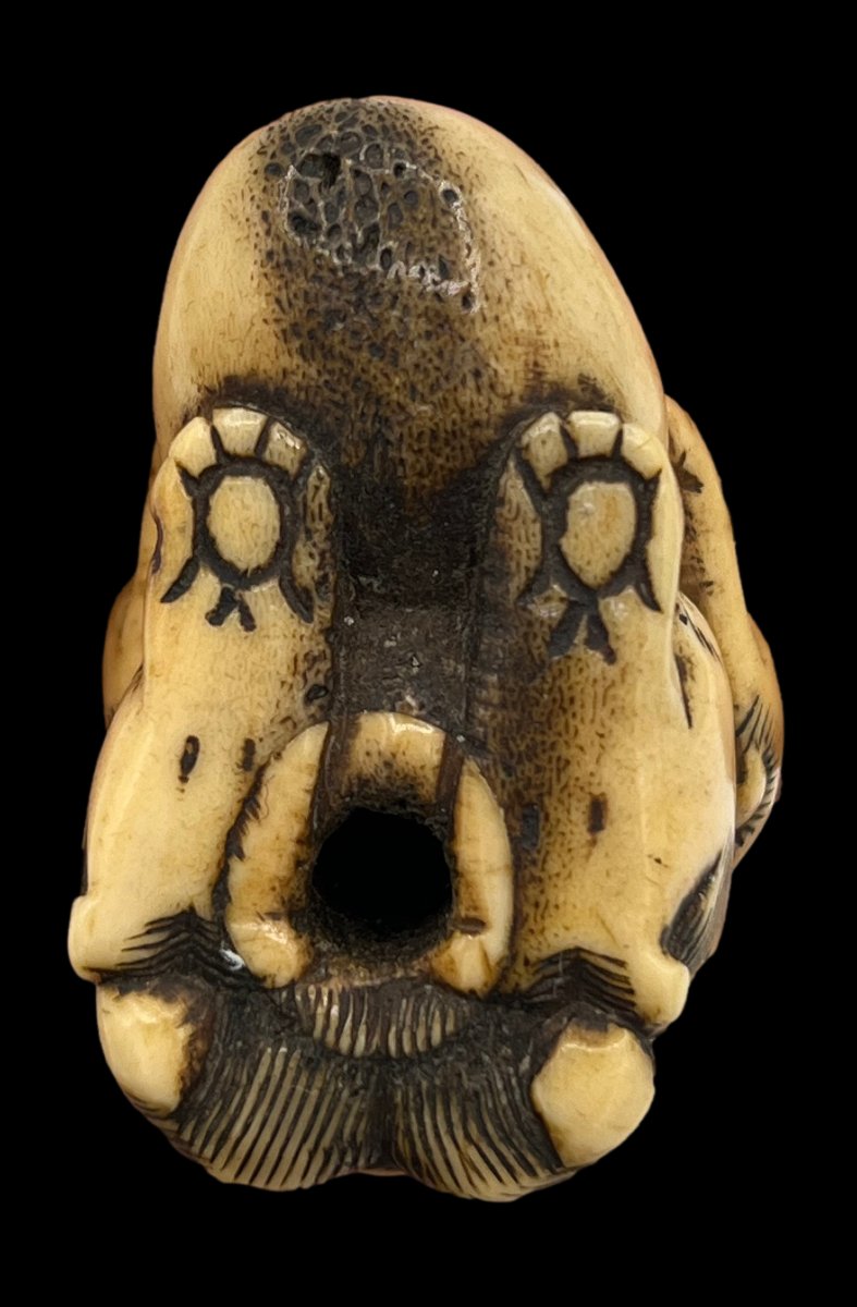 Netsuke shichi - époque Meiji -photo-4