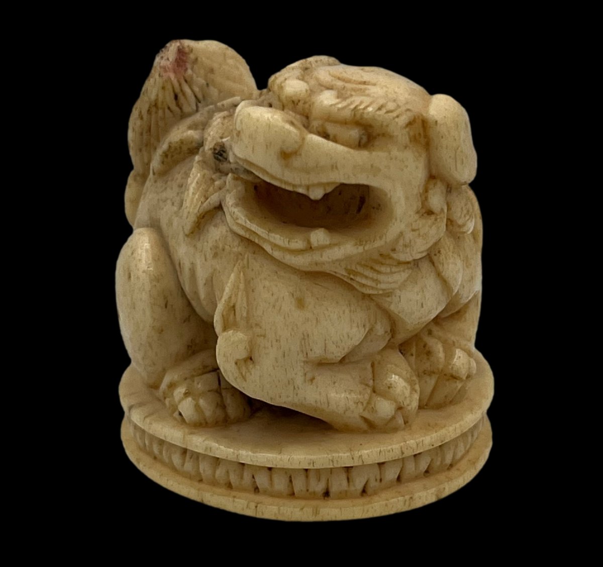 Netsuke shichi - époque Meiji -photo-2