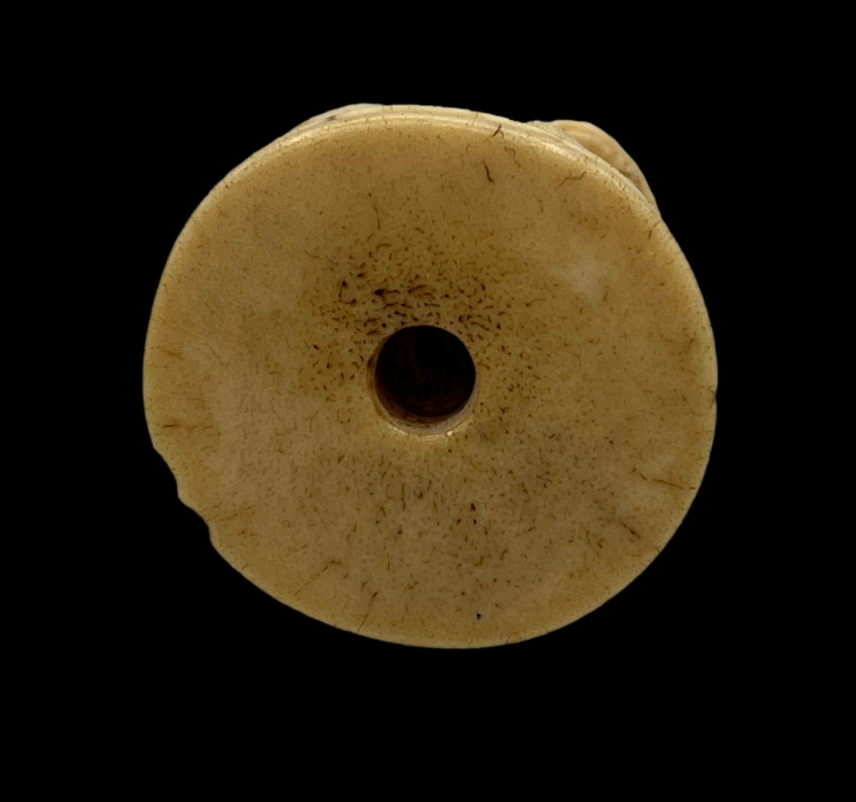 Netsuke shichi - époque Meiji -photo-2