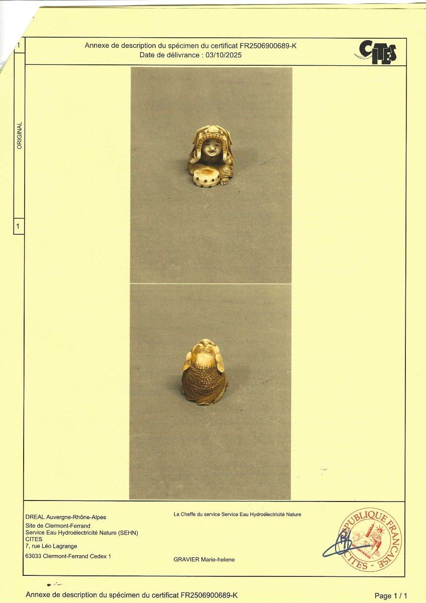 Netsuke - Meiji Period-photo-7