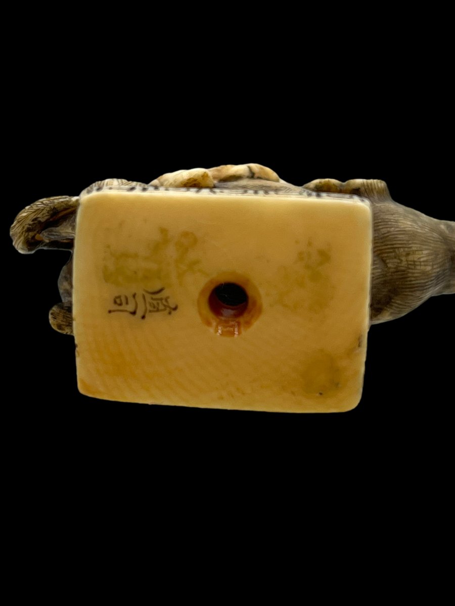 Buffalo Netsuke - Meiji Period-photo-3
