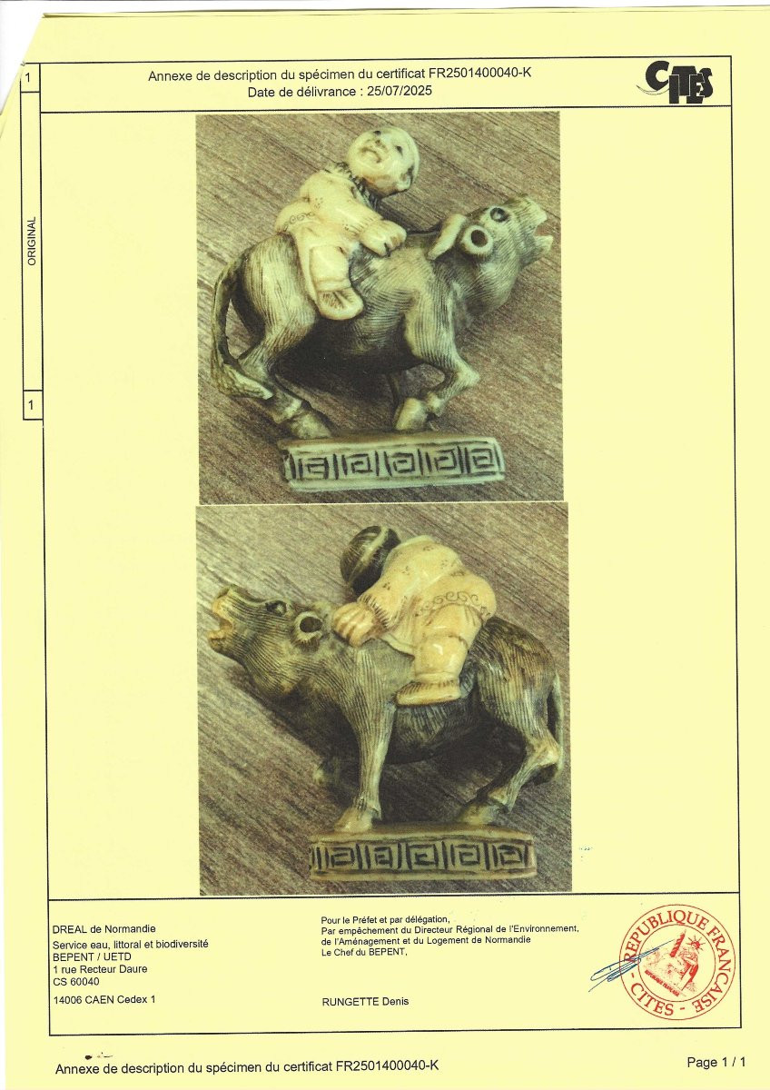 Buffalo Netsuke - Meiji Period-photo-5