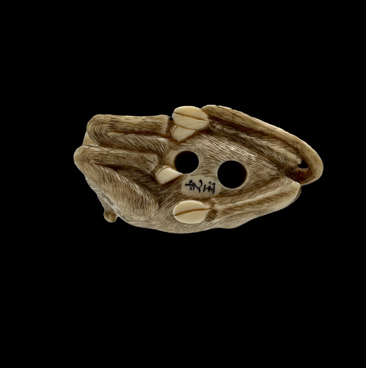 Camel Netsuke-photo-1