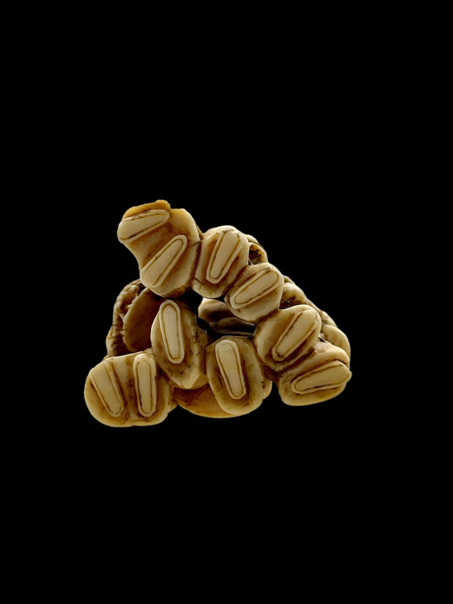Netsuke groupe-photo-2
