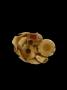 1756461-alb-69fdb078afda7.jpg