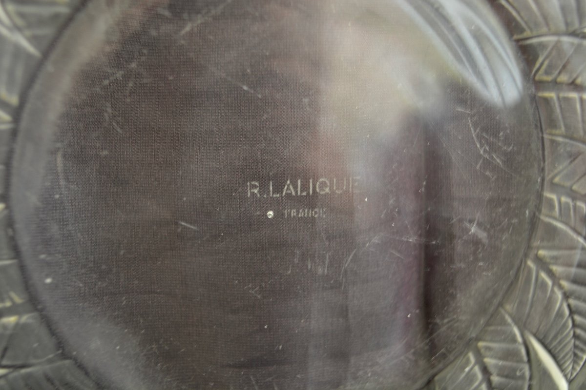 René Lalique, “abalone N1” Plate Circa 1931, Signed-photo-4