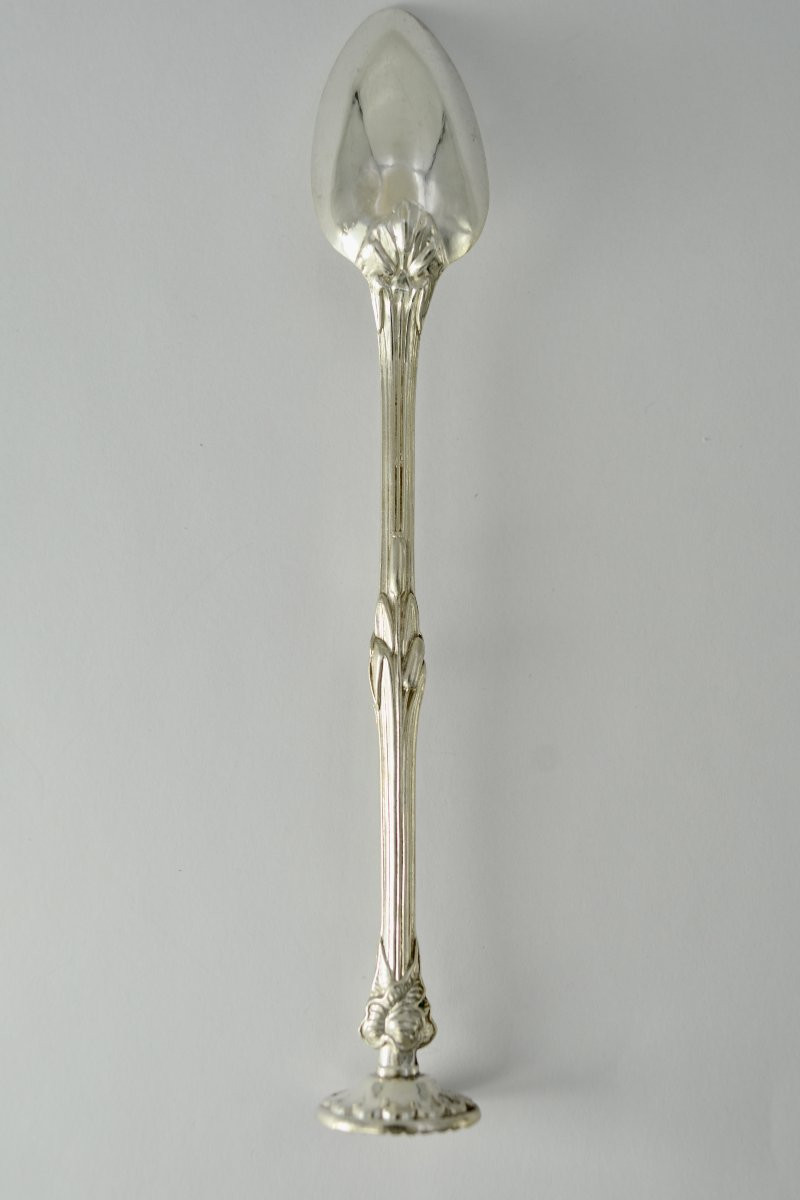 Medication Spoon France XIX Eme Siecle .-photo-2