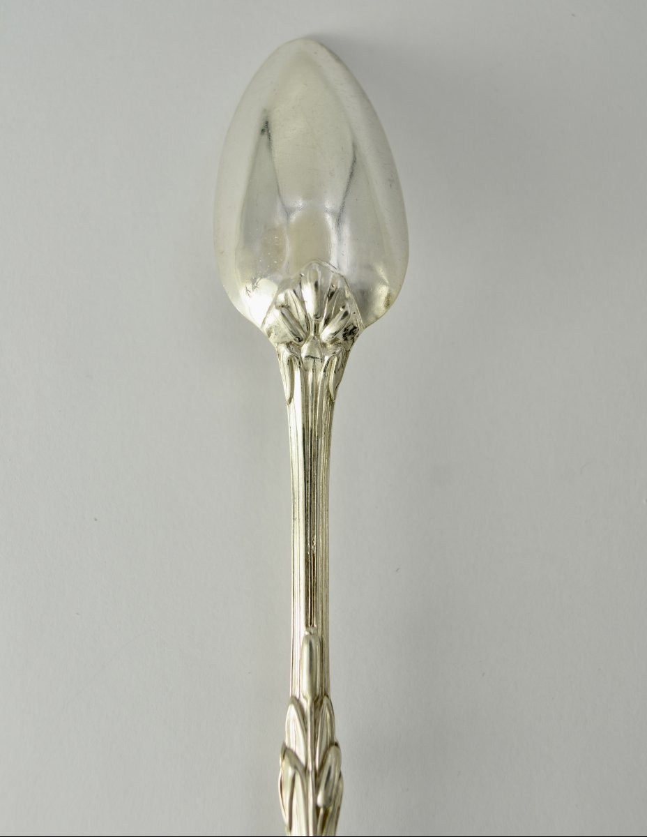Medication Spoon France XIX Eme Siecle .-photo-3