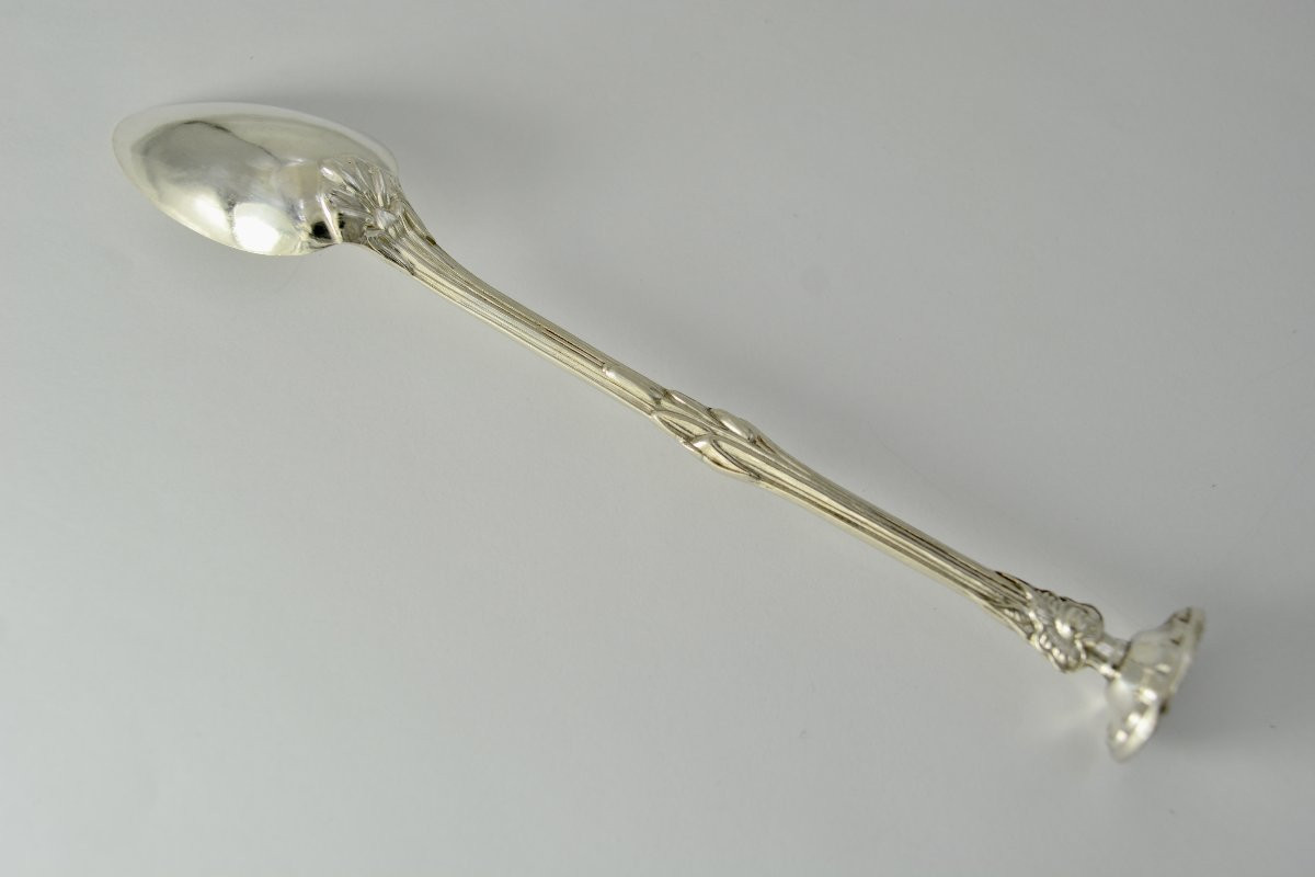 Medication Spoon France XIX Eme Siecle .-photo-2