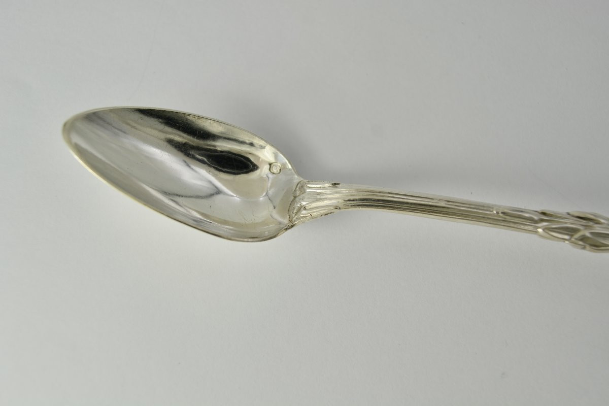 Medication Spoon France XIX Eme Siecle .-photo-3