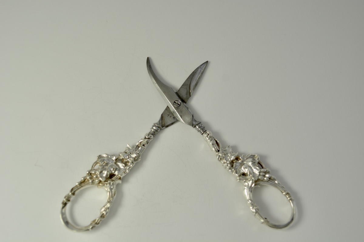 Silver And Metal Grape Chisel. XIXe-photo-4