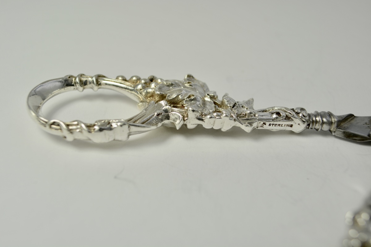 Silver And Metal Grape Chisel. XIXe-photo-1