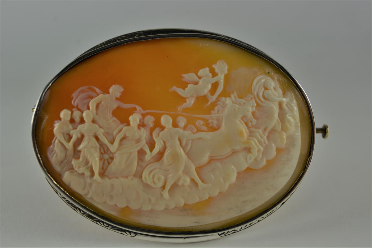 Large Cameo On Seashell XIX Century