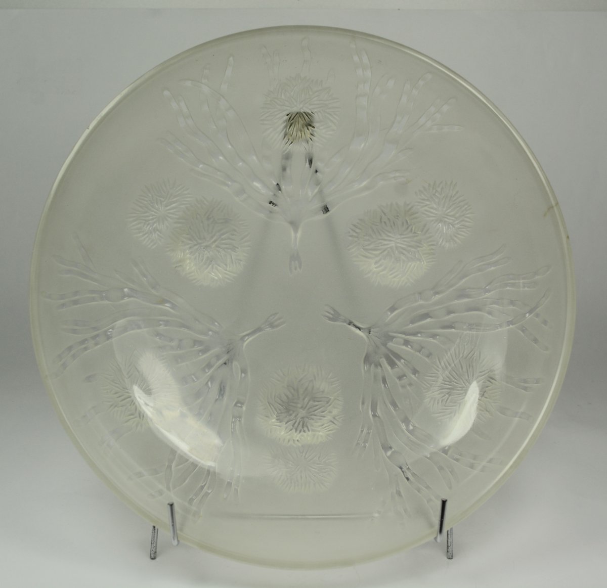 Sabino, Cup Glass Molded And Pressed. Seaweed And Sea Urchins-photo-2