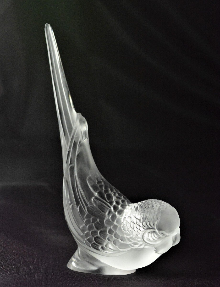 Lalique. Budgie-photo-2