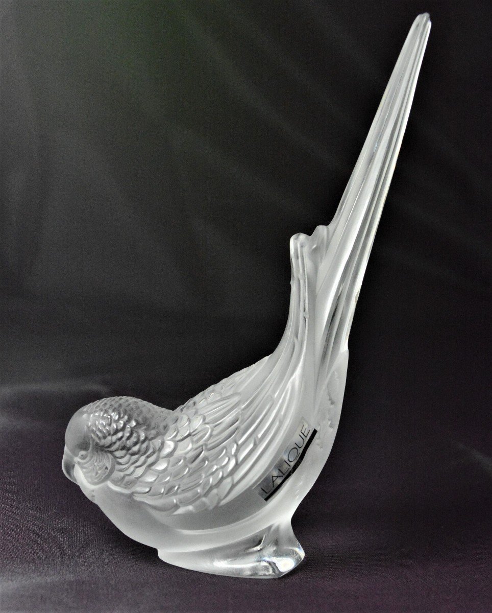 Lalique. Budgie-photo-3