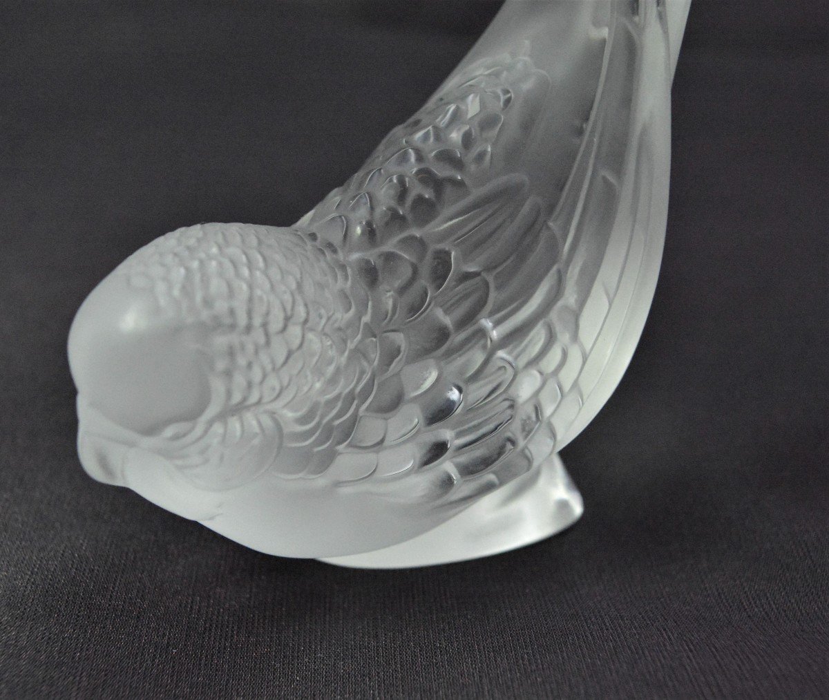 Lalique. Budgie-photo-4