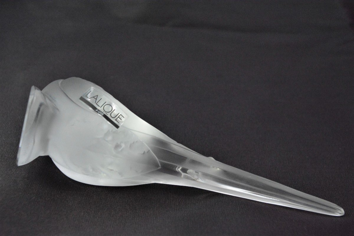 Lalique. Budgie-photo-1