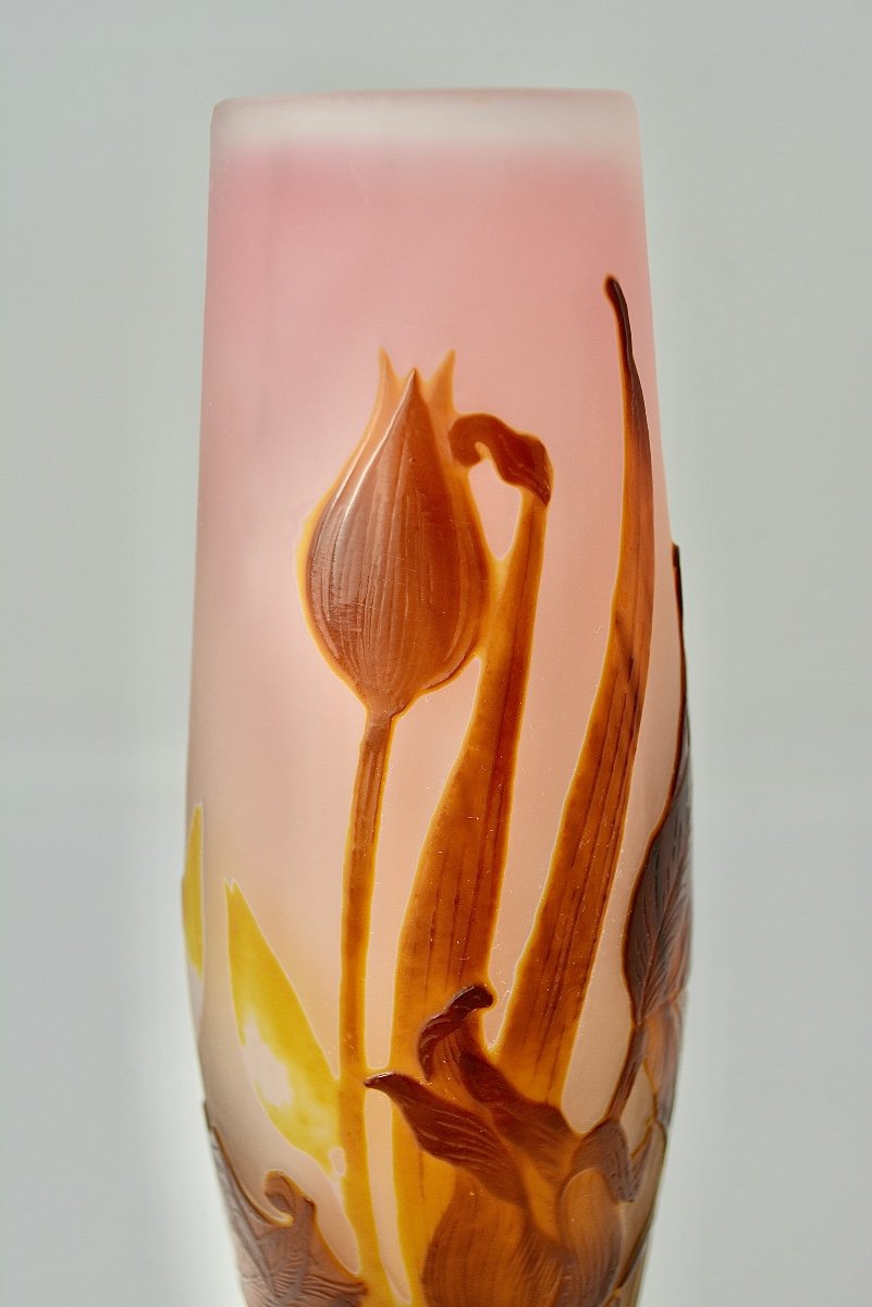 Gallé Vase Cleared With Acid. Art Nouveau. Sign-photo-8