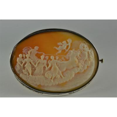 Large Cameo On Seashell XIX Century