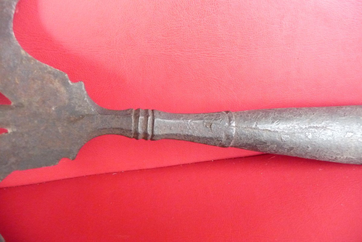 Halberd: Wrought Iron Halberd Tip 16 Or 17th Century.-photo-4