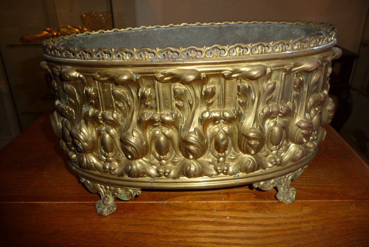 Planter: Beautiful 19th Century Planter In Golden Brass-photo-3