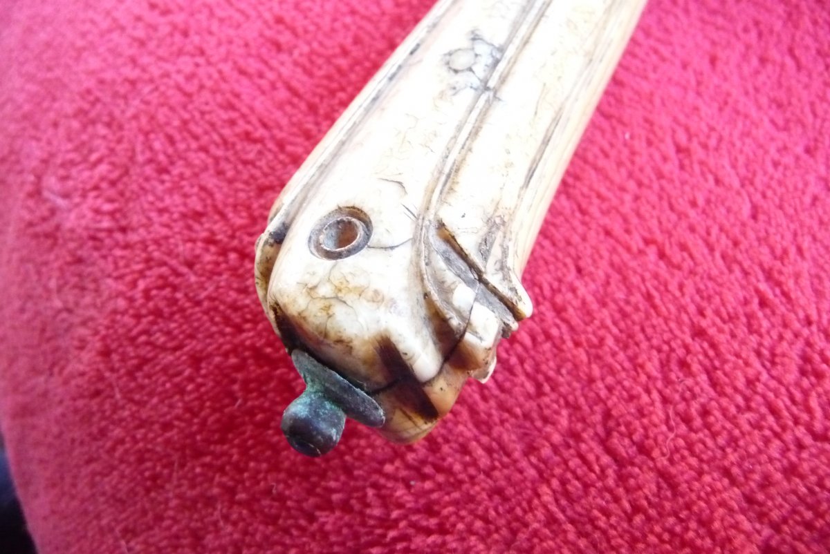 Surgeon Saw Wrought Iron, Ivory Handle Early Eighteenth-photo-4
