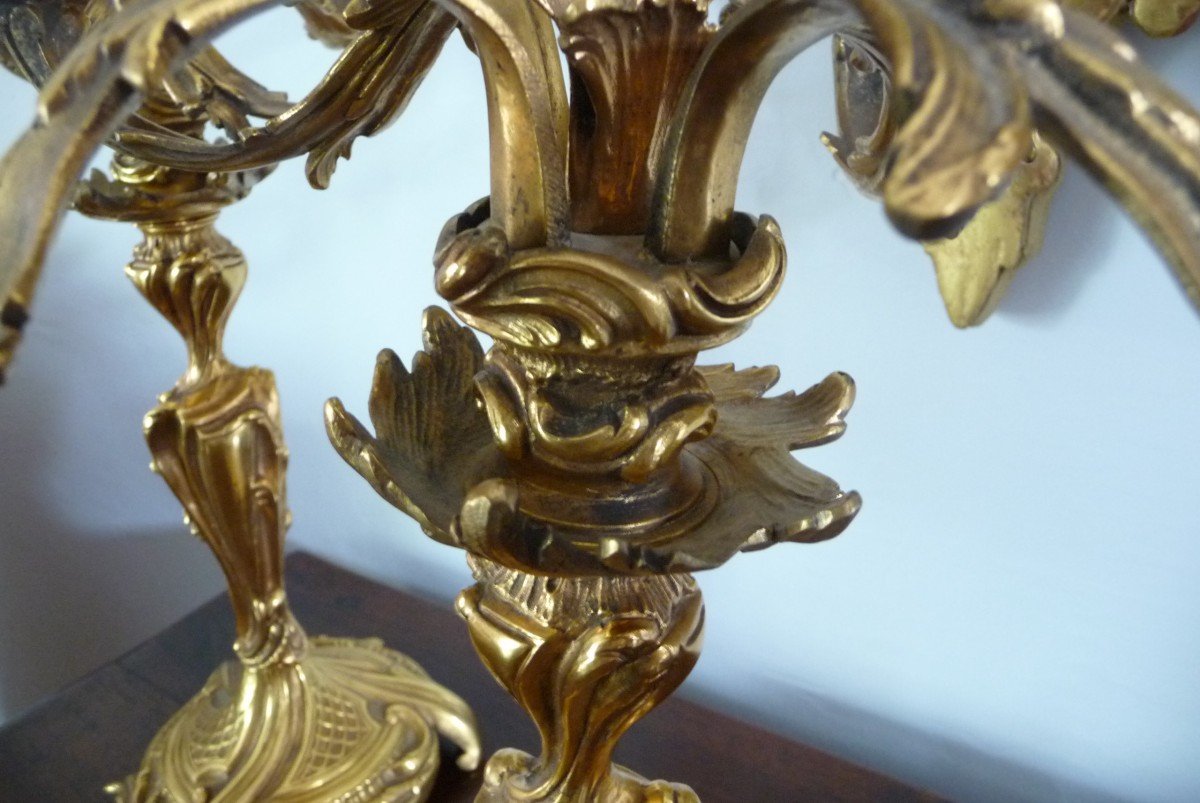 Grande Paire De Candélabres En Bronze Doré, De Style Louis XV, à Cinq Bras De Lumière.-photo-6