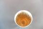1270979-65b4d66b7ec71.jpg