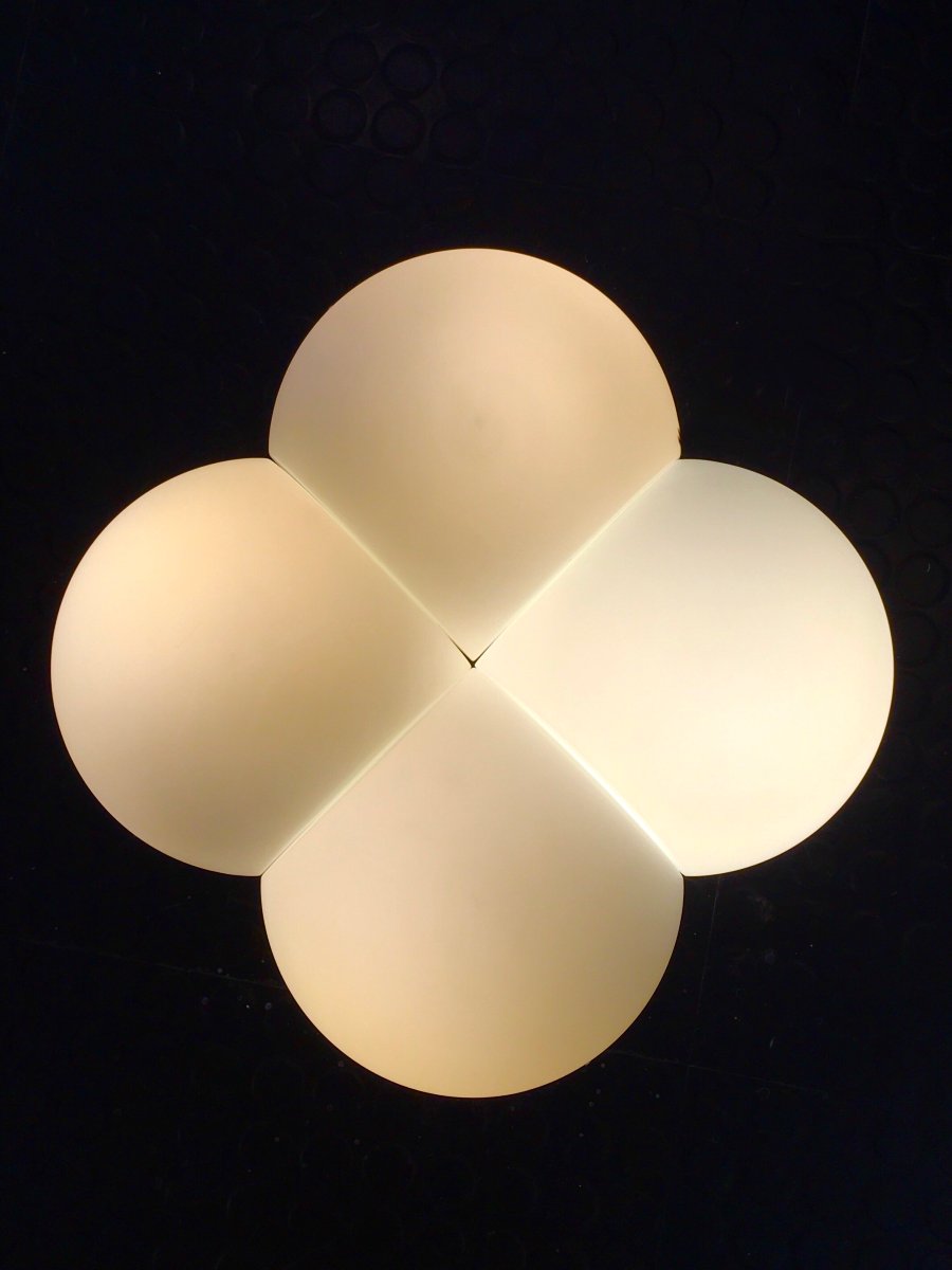 Foglia Ceiling Light Or Wall Sconce