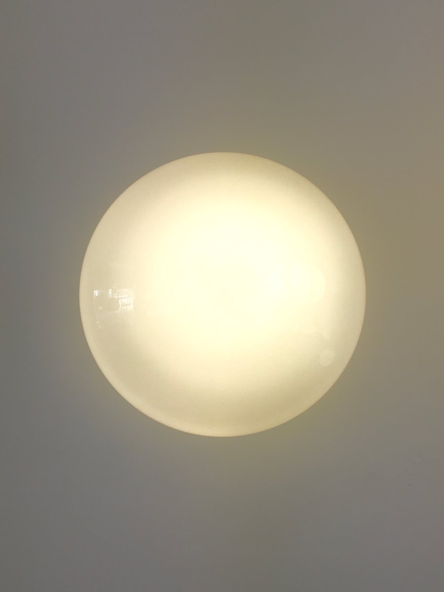 Grande opaline Magnolia de Sergio mazza-photo-2
