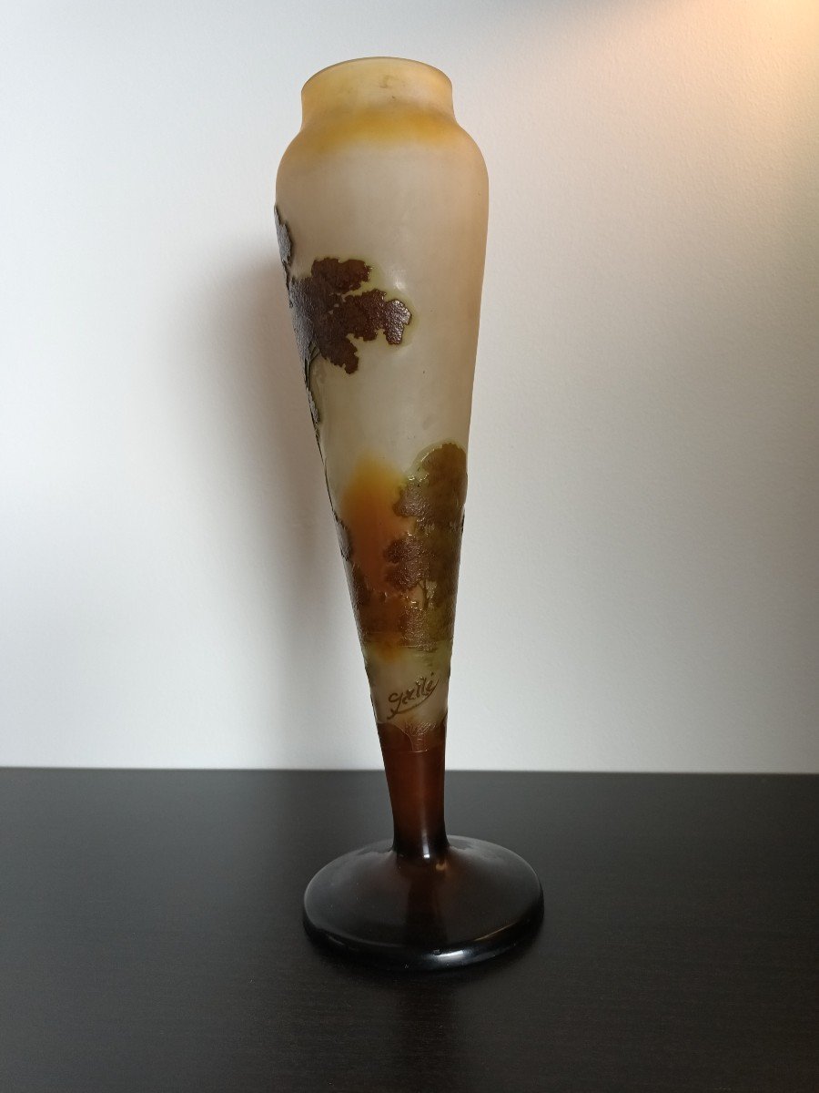 Gallé Vase-photo-1