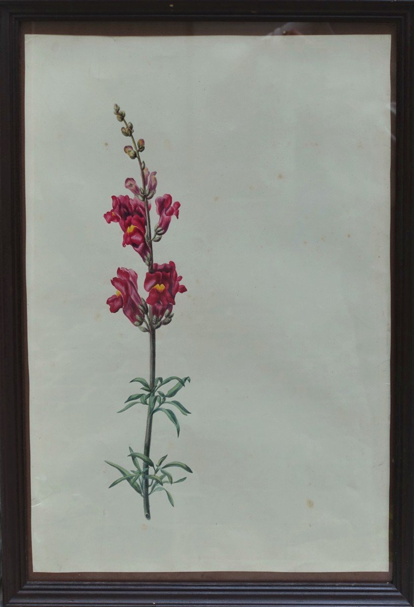 Ensemble De Trois Aquarelles - XIXe Siècle -photo-3