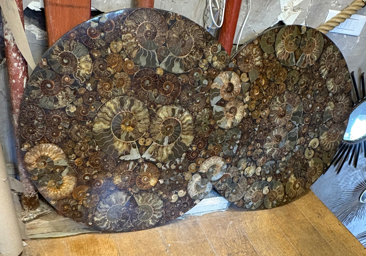 Paire de plateaux 80 cm décorés d’ammonites incluses -photo-3