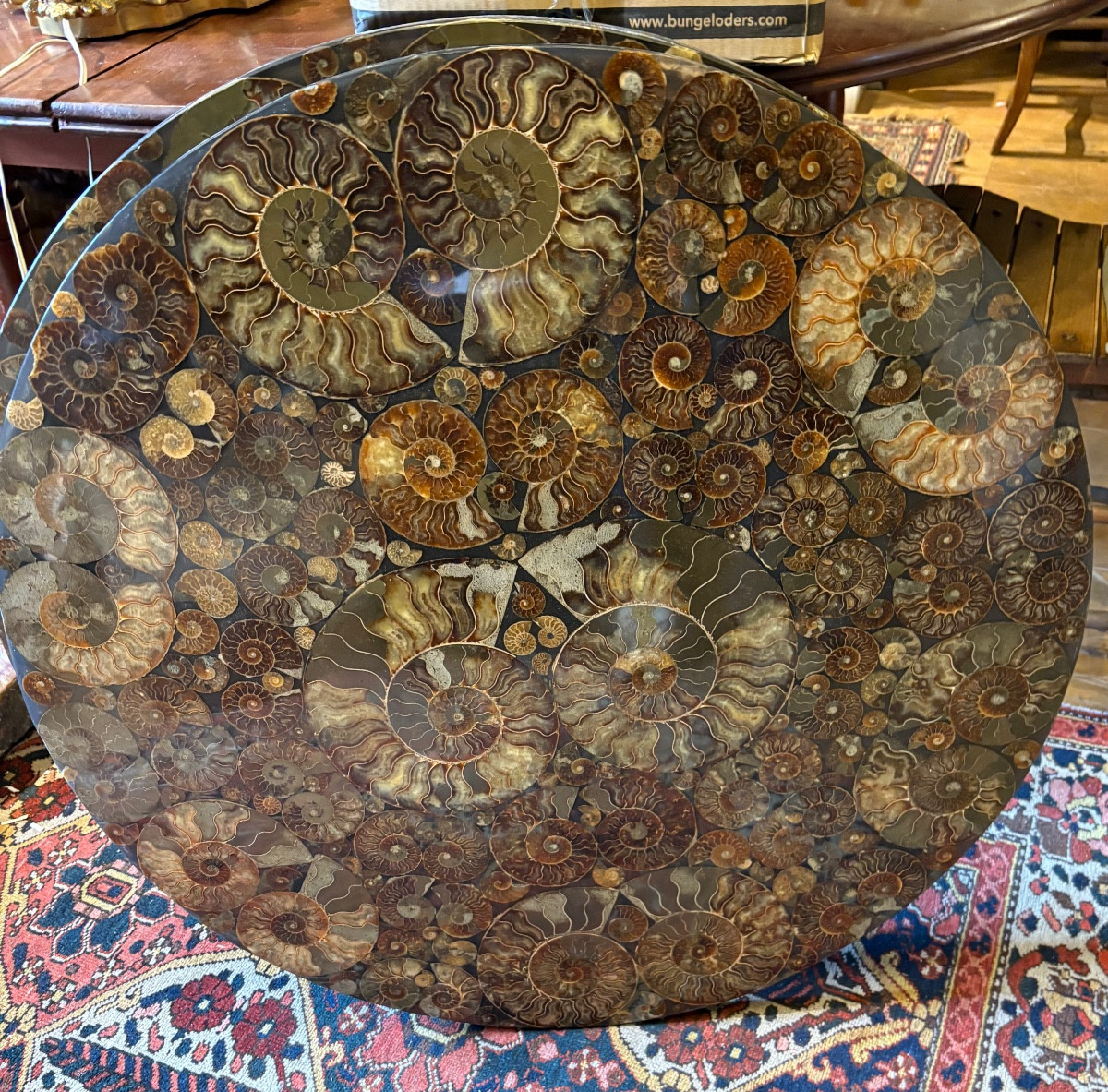Paire de plateaux 80 cm décorés d’ammonites incluses -photo-4