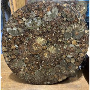 Round Tray With Ammonite Inclusions  