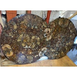 Paire de plateaux 80 cm décorés d’ammonites incluses 