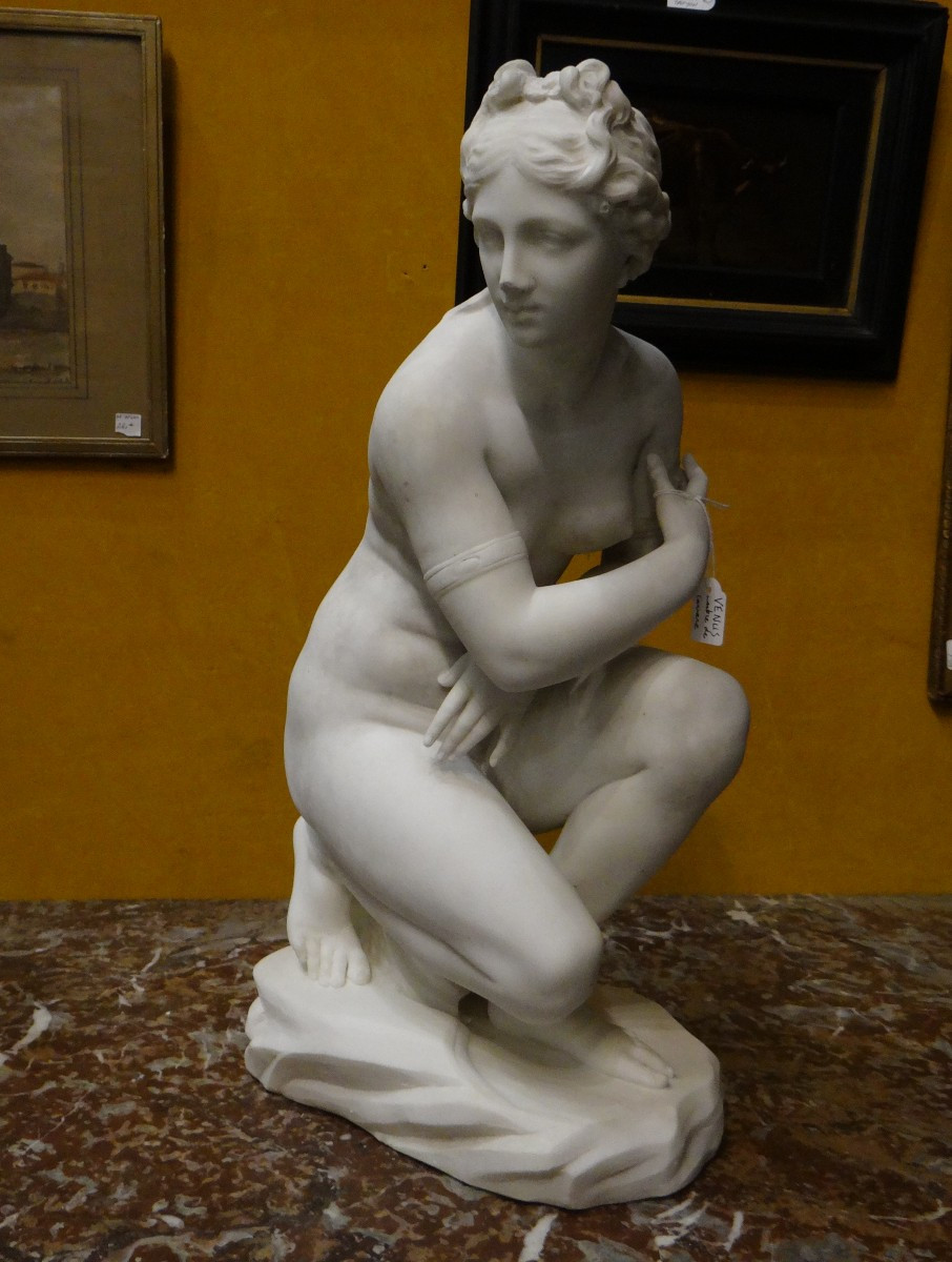 Vénus marbre de carrare