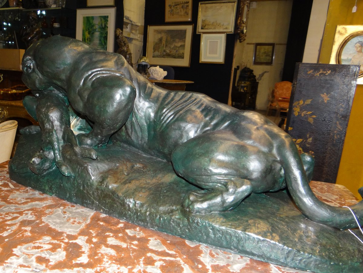 Great Panther Devouring A Hare-photo-2