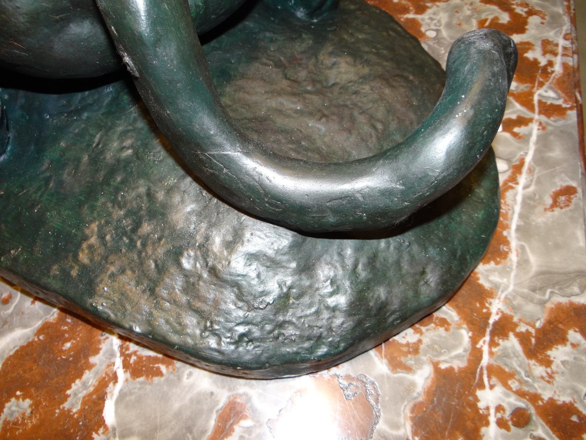 Great Panther Devouring A Hare-photo-3