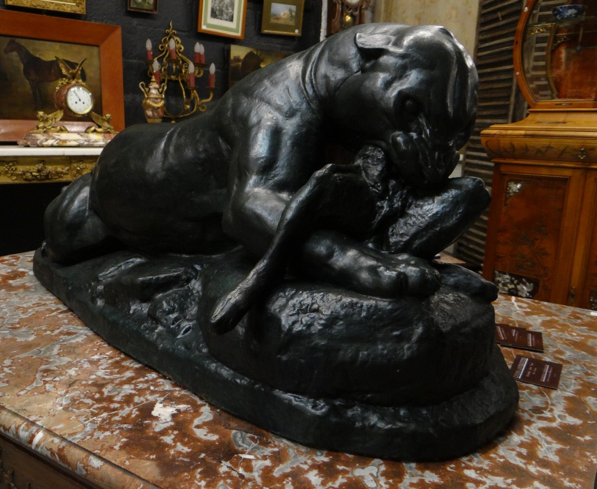 Great Panther Devouring A Hare