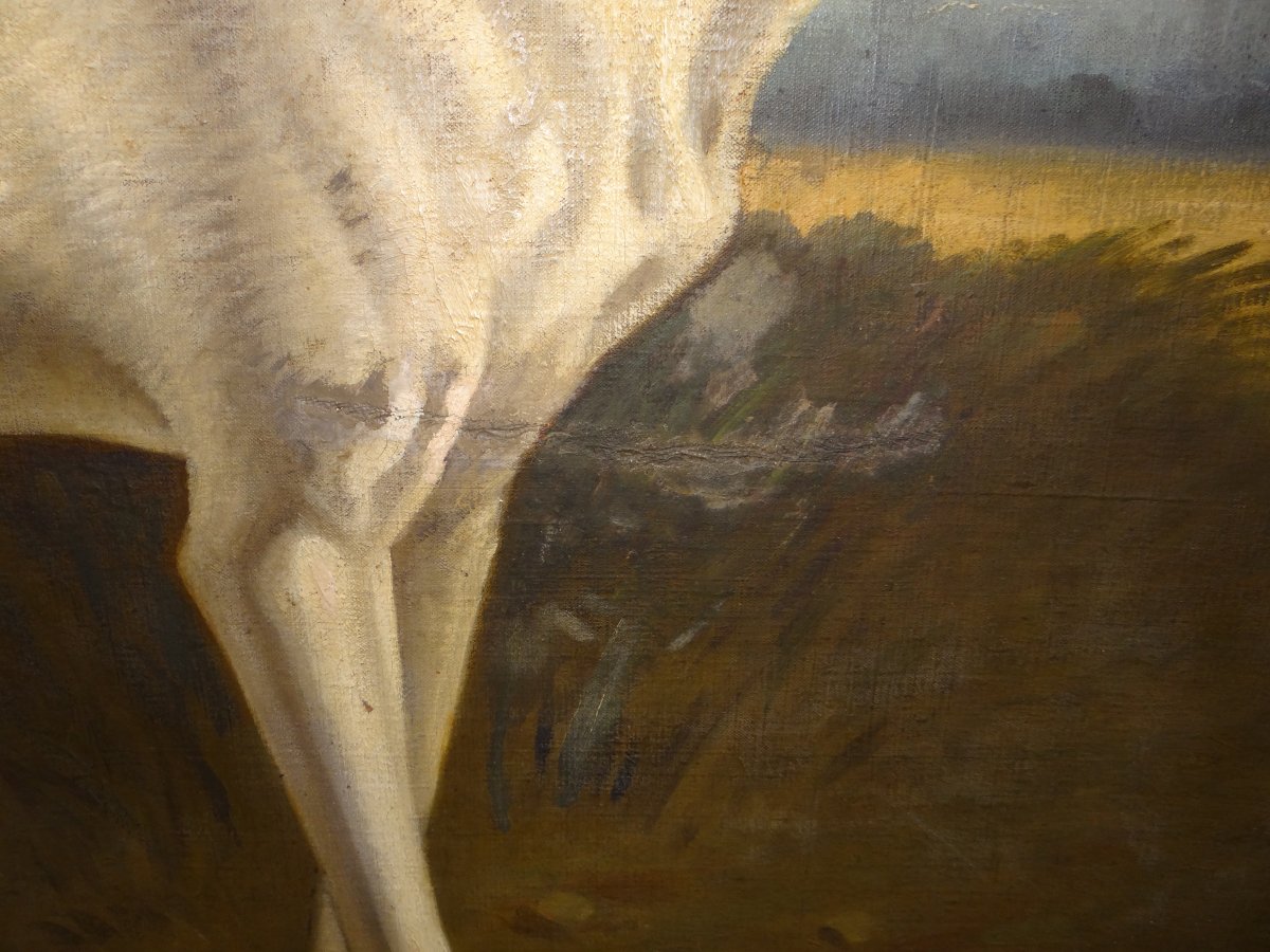 Grande huile sur toile 19ème chien de chasse-photo-3