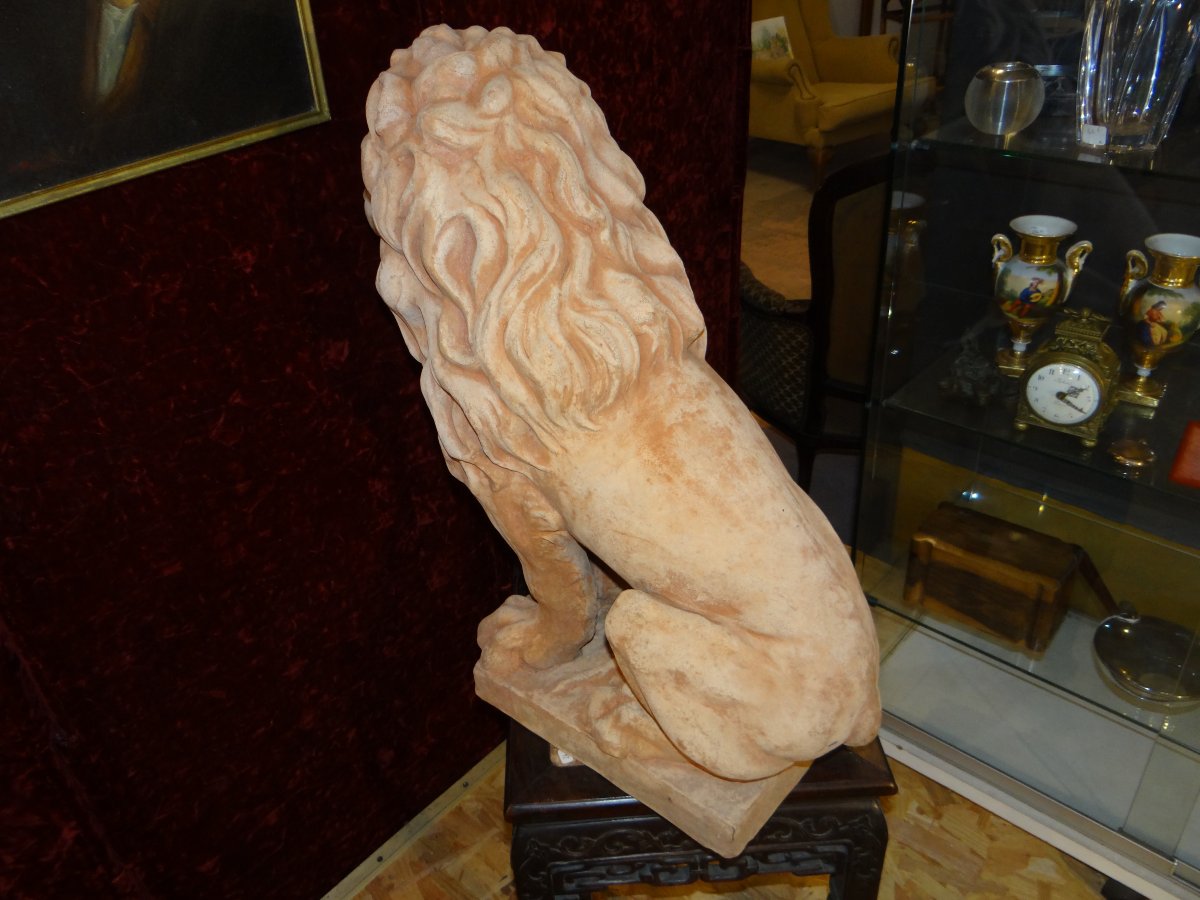 Lion terre cuite-photo-3